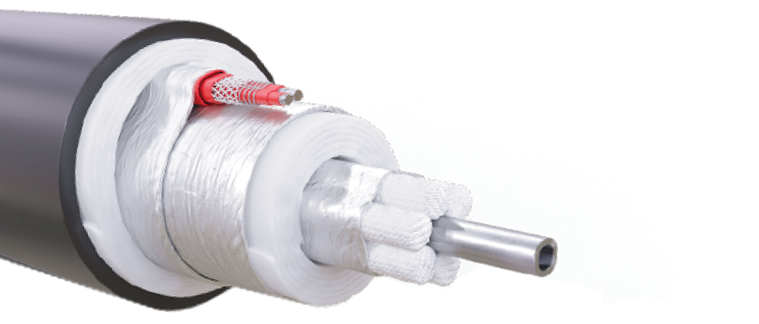 TubeTrace® Tip SEI/MAY – HT