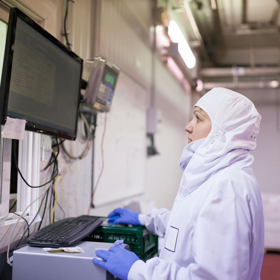 Heated Sample Lines – HSL1000